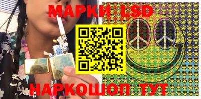 гашик Будённовск