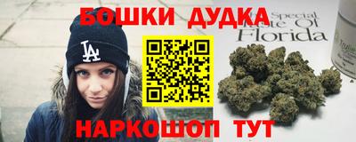 гашик Будённовск
