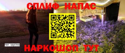 гашик Будённовск