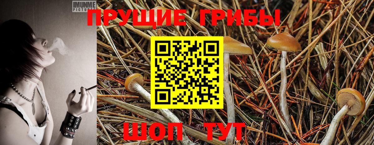Галлюциногенные грибы мухоморы Мурманск